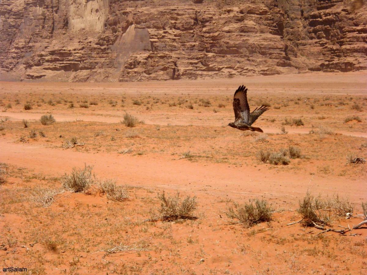 Hotel Sunrise Camp Wadi Rum Exterior foto