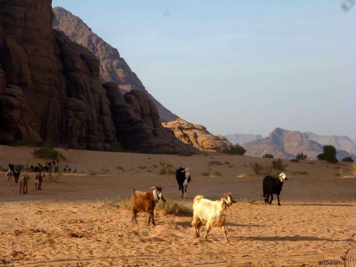Hotel Sunrise Camp Wadi Rum Exterior foto