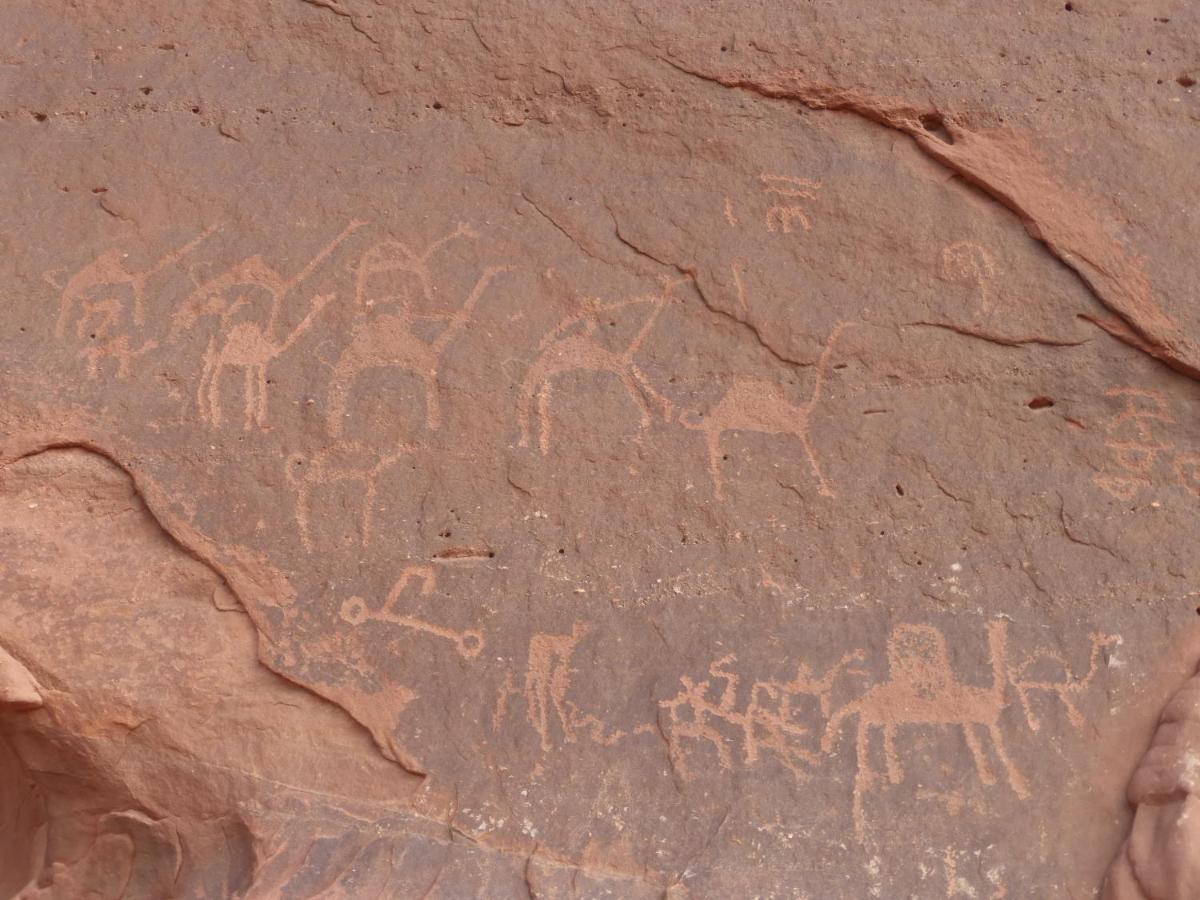 Hotel Sunrise Camp Wadi Rum Exterior foto