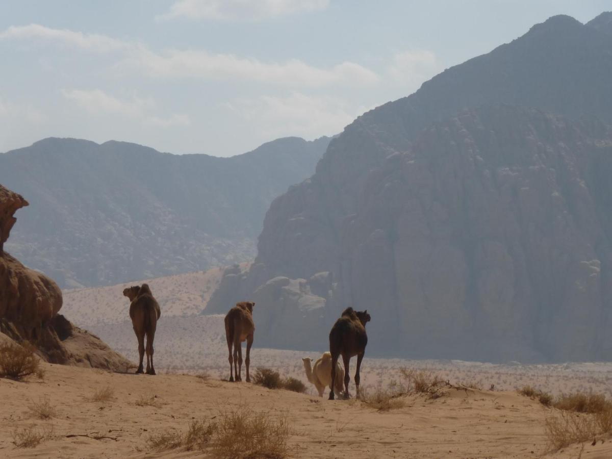 Hotel Sunrise Camp Wadi Rum Exterior foto